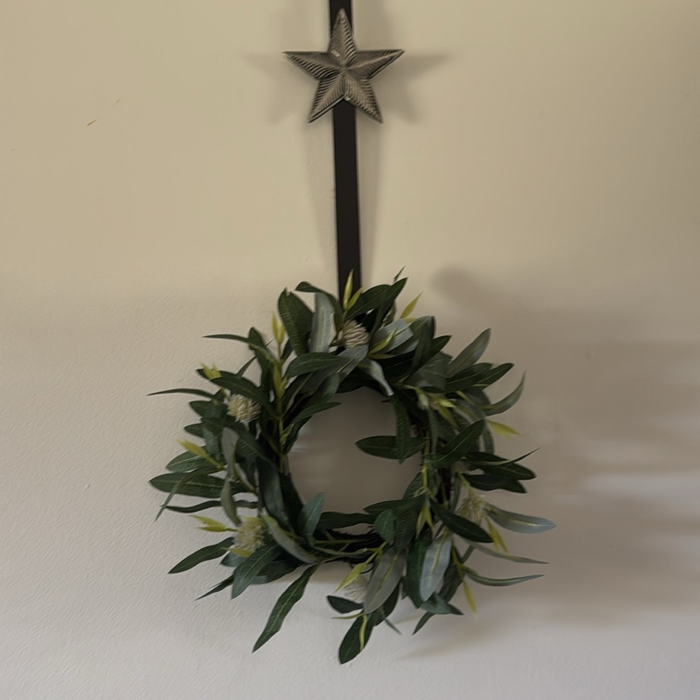 Boxwood Decorative Wreath Set of 2